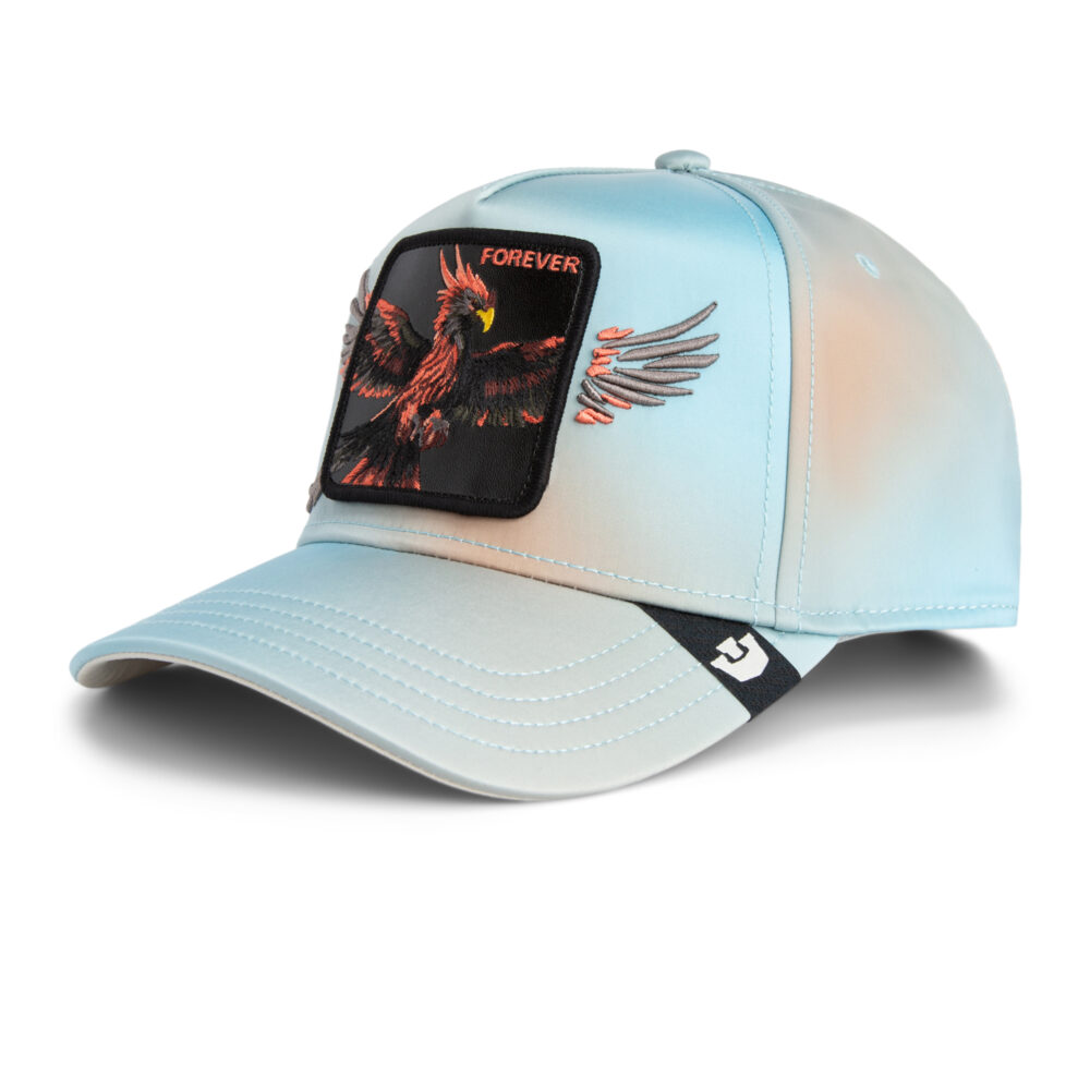 Goorin Brothers Animal Farm Never Stop Never Stopping Trucker